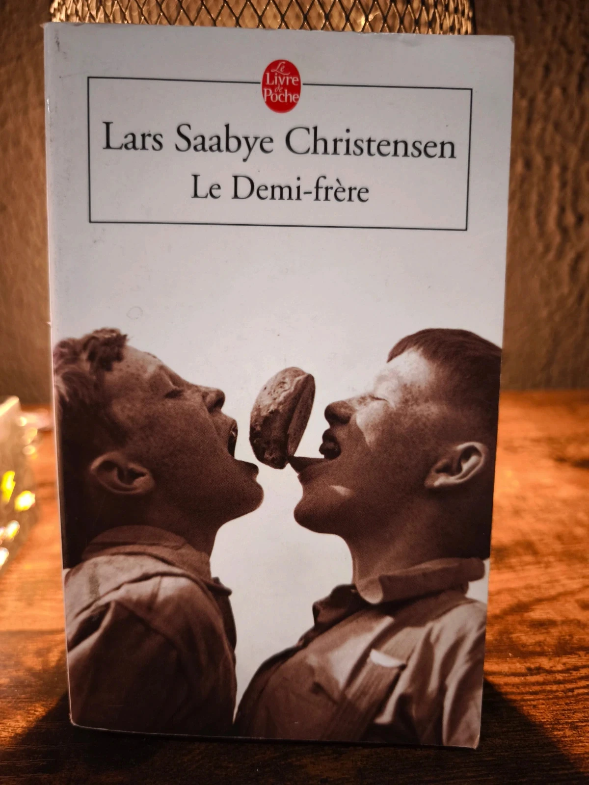 Le demi frère